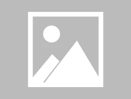 Palantir Stock: Price Volatility and What Investors Should Know